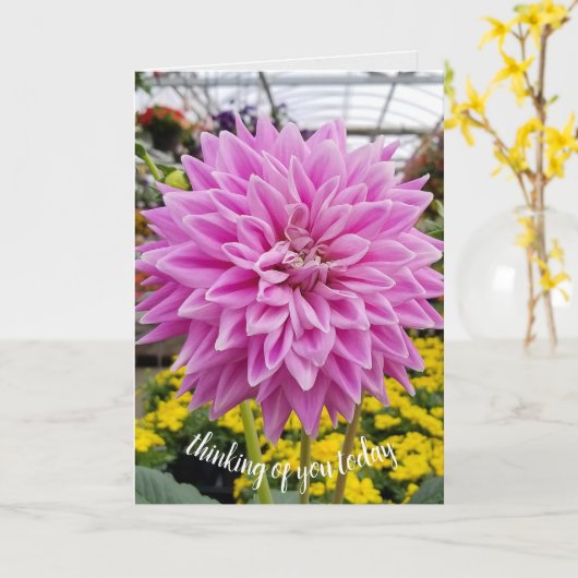 roze dahlia kaart (Gele Bloem)