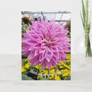 roze dahlia kaart