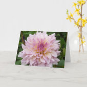 Roze Dahlia Kaart (Gele Bloem)