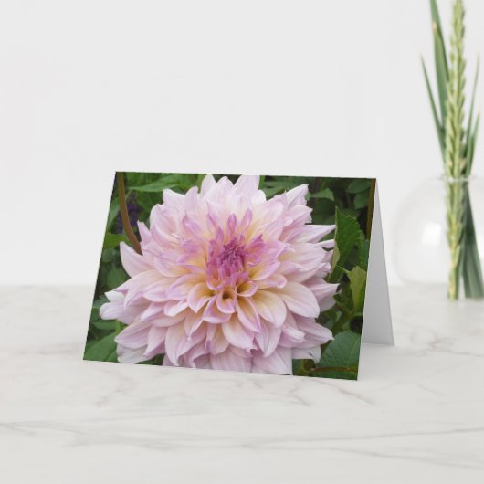 Roze Dahlia Kaart (Voorkant)