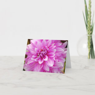 Roze Dahlia Kaart