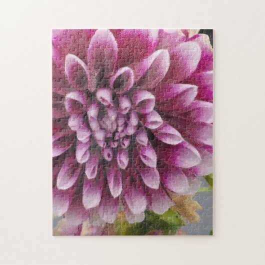 Roze Dahlia Legpuzzel (Verticaal)