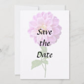 Roze Dahlia met dauw Save The Date (Achterkant)