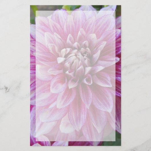 Roze Dahlia met rand Briefpapier (Voorkant)