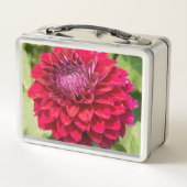 Roze Dahlia, mooie bloem fotografie (Achterkant)