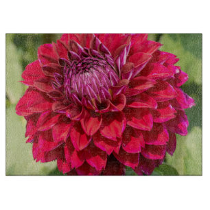 Roze Dahlia, mooie bloem fotografie Snijplank