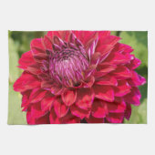 Roze Dahlia, mooie bloem fotografie Theedoek (Horizontaal)