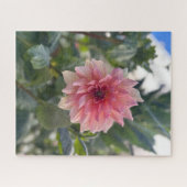 Roze Dahlia, Palo Alto Legpuzzel (Horizontaal)