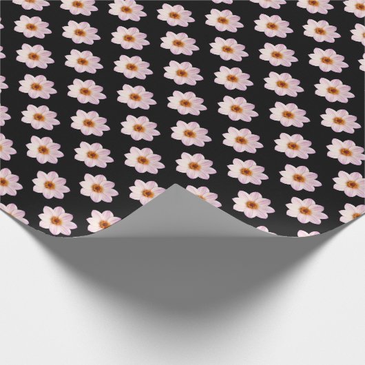 Roze Dahlia-patroon - Volledige kleur op zwart Cadeaupapier (Hoek)