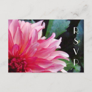Roze Dahlia RSVP-kaart RSVP Kaartje