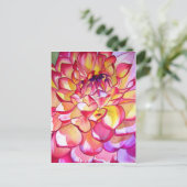 Roze Dahlia waterverf fijne kunst Briefkaart (Staand voorkant)