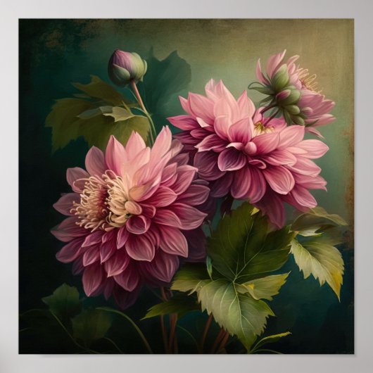 Roze Dahlias Bloem Kunstprint Poster (Voorkant)