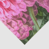 Roze Dahlias Bloemen Tissuepapier (Detail)