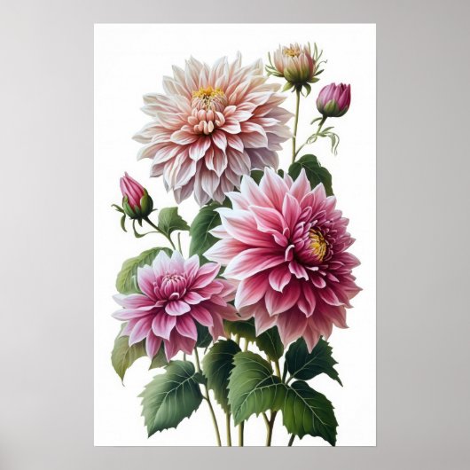 Roze Dahlias Bloemenkunst Print Poster (Voorkant)
