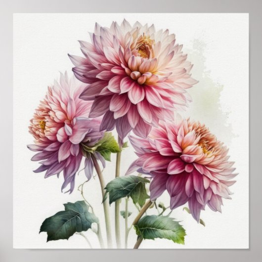 Roze Dahlias Bloemenkunst Print Poster (Voorkant)