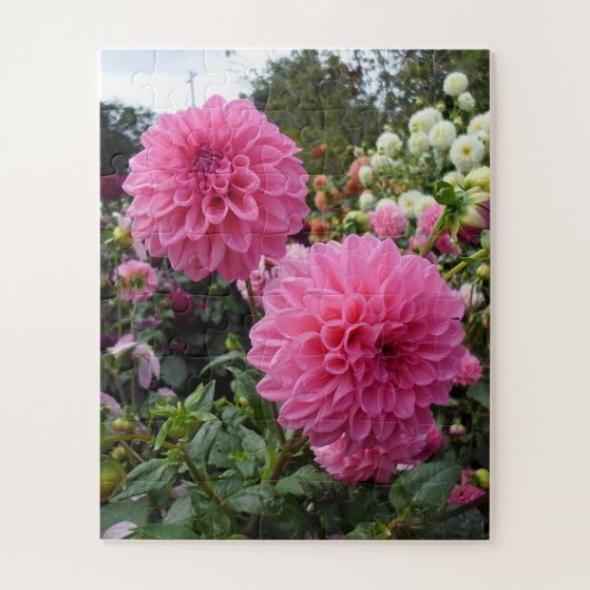 Roze Dahlias Legpuzzel (Verticaal)