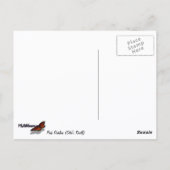 Roze Dahlias (Otto's Thrill) Briefkaart (Achterkant)