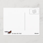 Roze Dahlias (Otto's Thrill) Briefkaart (Achterkant)