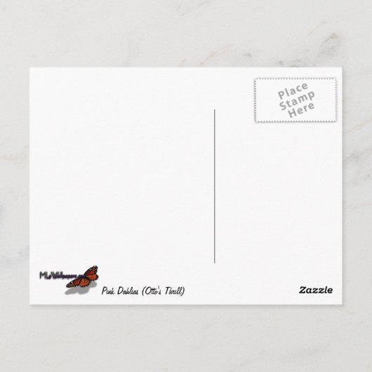 Roze Dahlias (Otto's Thrill) Briefkaart (Achterkant)