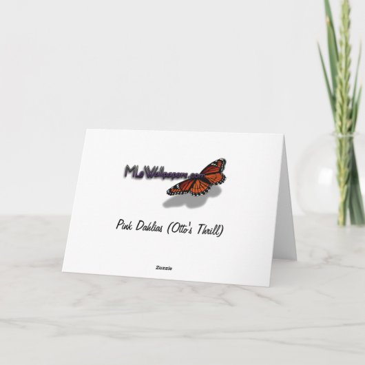 Roze Dahlias (Otto's Thrill) Kaart (Achterkant)