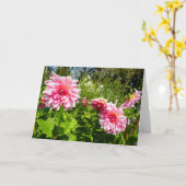Roze Dahlias (Otto's Thrill) Kaart (Gele Bloem)