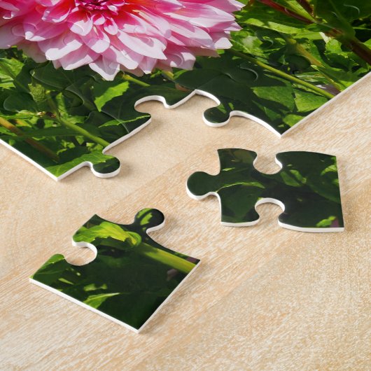 Roze Dahlias (Otto's Thrill) Legpuzzel (Zijkant)
