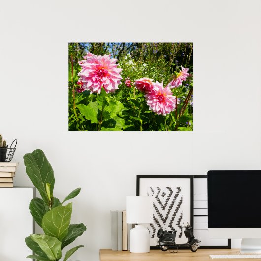 Roze Dahlias (Otto's Thrill) Poster (Thuiskantoor)