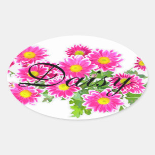 Roze Daisies / Asters Bouquet + jouw ideeën Ovale Sticker
