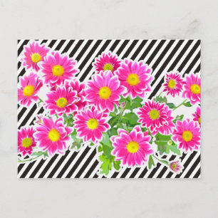 Roze Daisies / Asters Bouquet & Strips + jouw idee Briefkaart