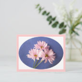 Roze Daisies Briefkaart (Staand voorkant)