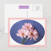 Roze Daisies Briefkaart (Voorkant / Achterkant)