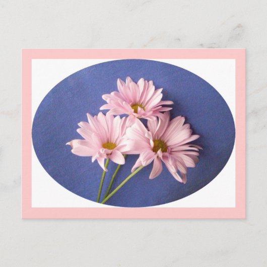 Roze Daisies Briefkaart (Voorkant)