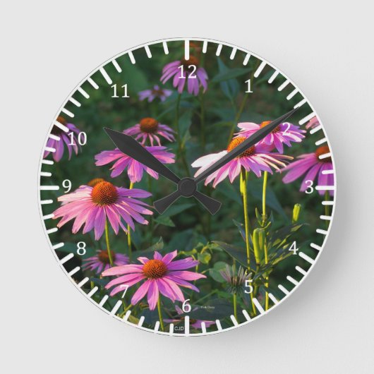 Roze Daisies klok (Voorkant)