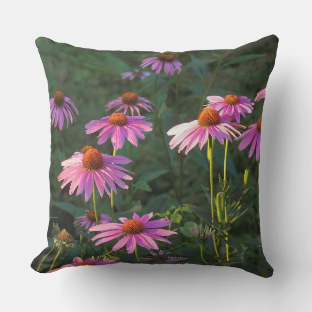 Roze Daisies kussen (Voorkant)