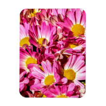 Roze Daisies