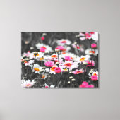 Roze Daisies: Roze Bloem Kleur Splash Foto Canvas Afdruk (Voorkant)