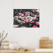 Roze Daisies: Roze Bloem Kleur Splash Foto Poster (Keuken)