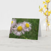  roze Daisy-achtige bloemen Kaart (Gele Bloem)