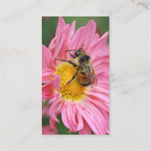 Roze Daisy Bee Flower Photography Visitekaartje (Achterkant)