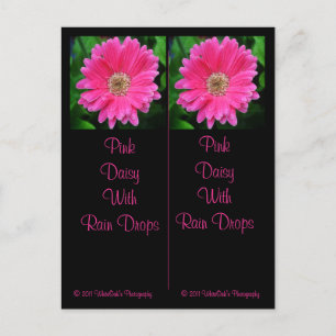 Roze Daisy Bladwijzer Briefkaart