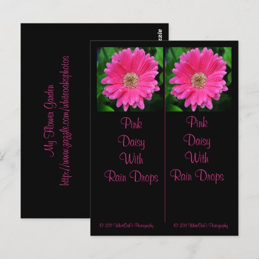 Roze Daisy Bladwijzer Briefkaart (Voorkant / Achterkant)