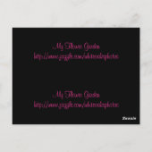 Roze Daisy Bladwijzer Briefkaart (Achterkant)