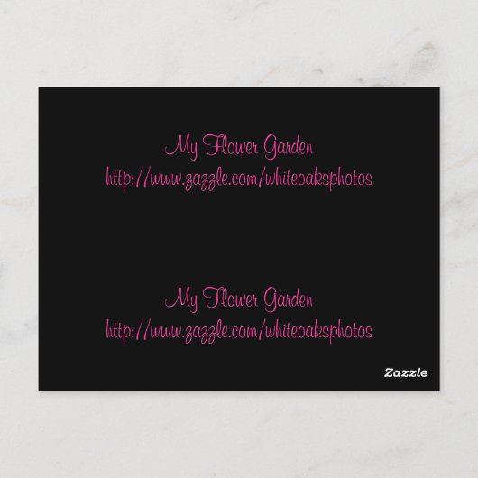 Roze Daisy Bladwijzer Briefkaart (Achterkant)