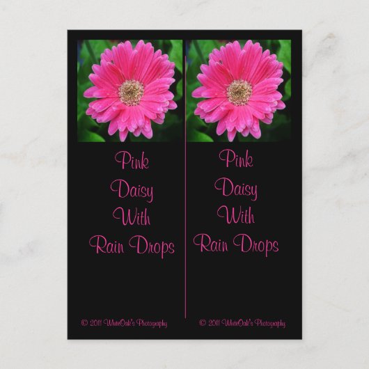 Roze Daisy Bladwijzer Briefkaart (Voorkant)