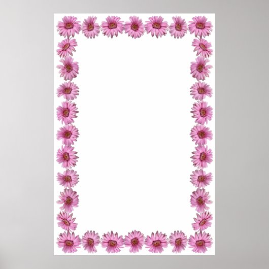Roze Daisy Border op Blank Achtergrond Poster (Voorkant)