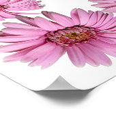 Roze Daisy Border op Blank Achtergrond Poster (Hoek)