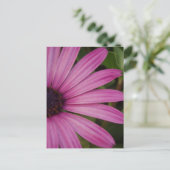 Roze Daisy Briefkaart (Staand voorkant)