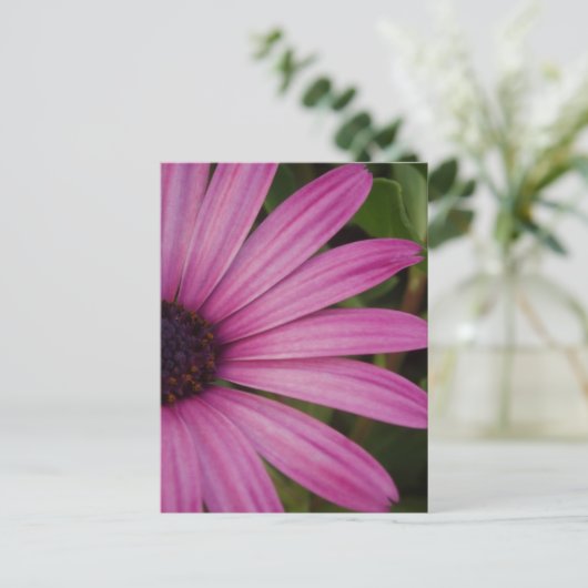 Roze Daisy Briefkaart (Staand voorkant)