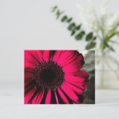 Roze Daisy Briefkaart (Staand voorkant)