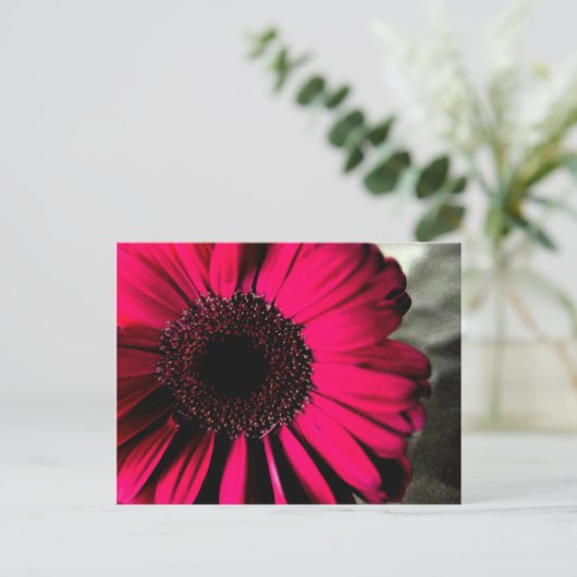 Roze Daisy Briefkaart (Staand voorkant)